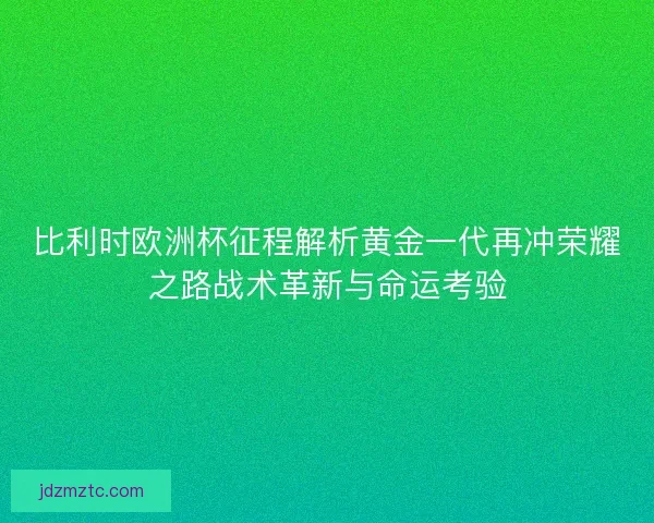 比利时欧洲杯征程解析黄金一代再冲荣耀之路战术革新与命运考验