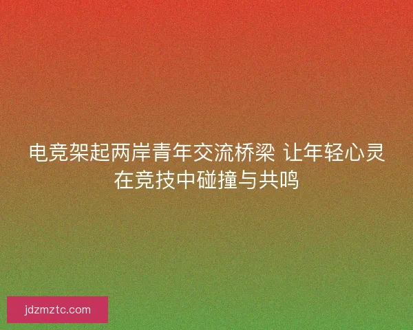 电竞架起两岸青年交流桥梁 让年轻心灵在竞技中碰撞与共鸣