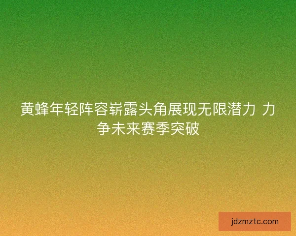 黄蜂年轻阵容崭露头角展现无限潜力 力争未来赛季突破